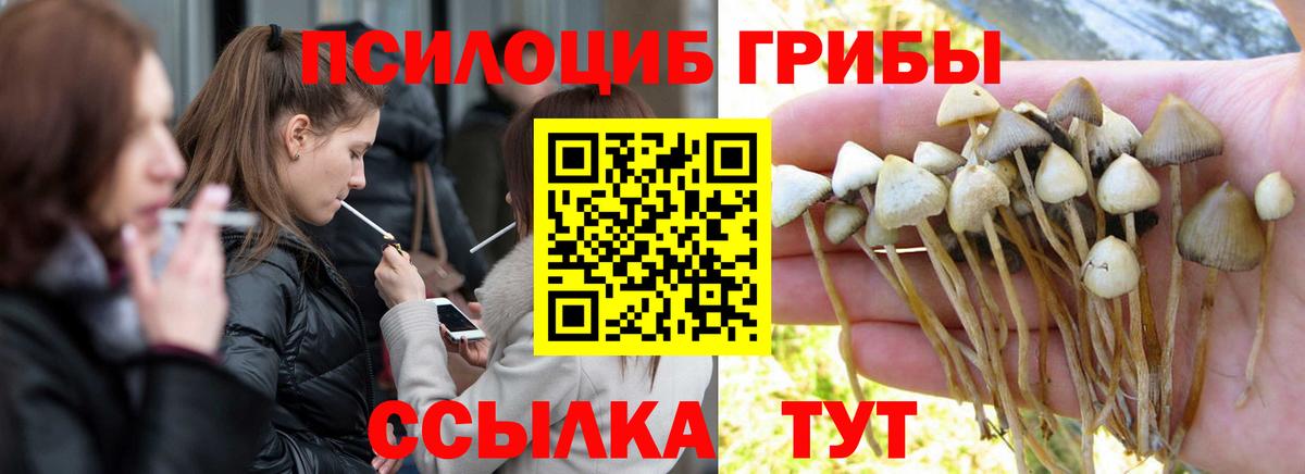 Йошкар-Ола  Псилоцибиновые грибы мухоморы  Псилоцибиновые грибы мухоморы  купить наркотик  Вход с VPN 